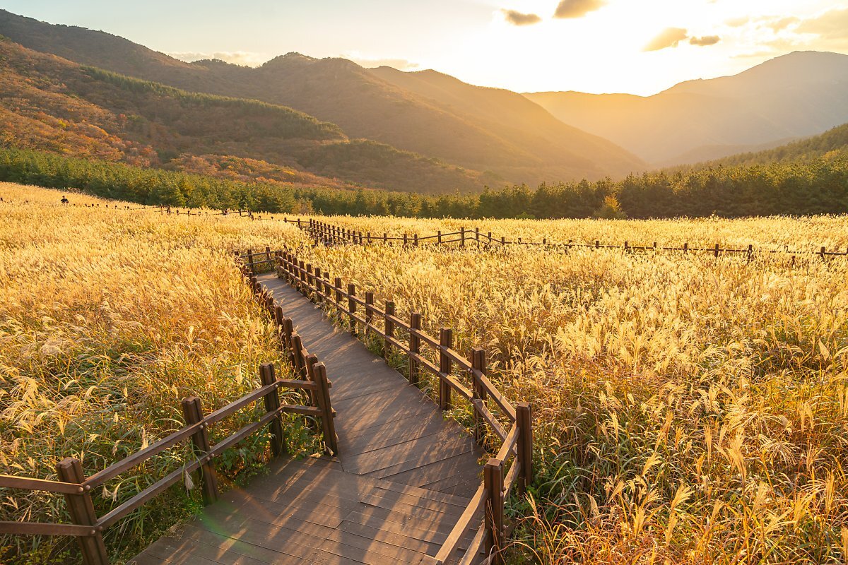 영남알프스 신불산 간월재