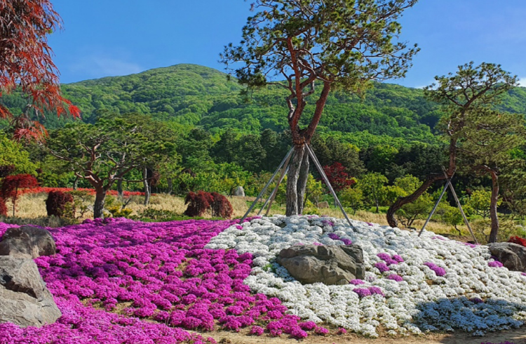 가산 수피아