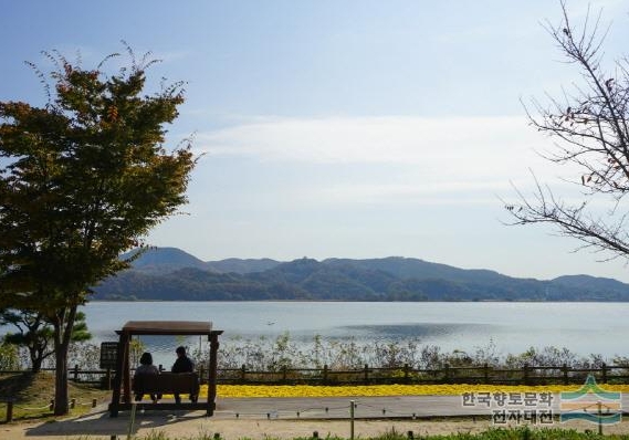 서울 근교 힐링 여행지: 남양주 다산생태공원