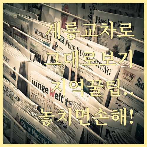 계룡시 교차로 신문 그대로보기 서비스..