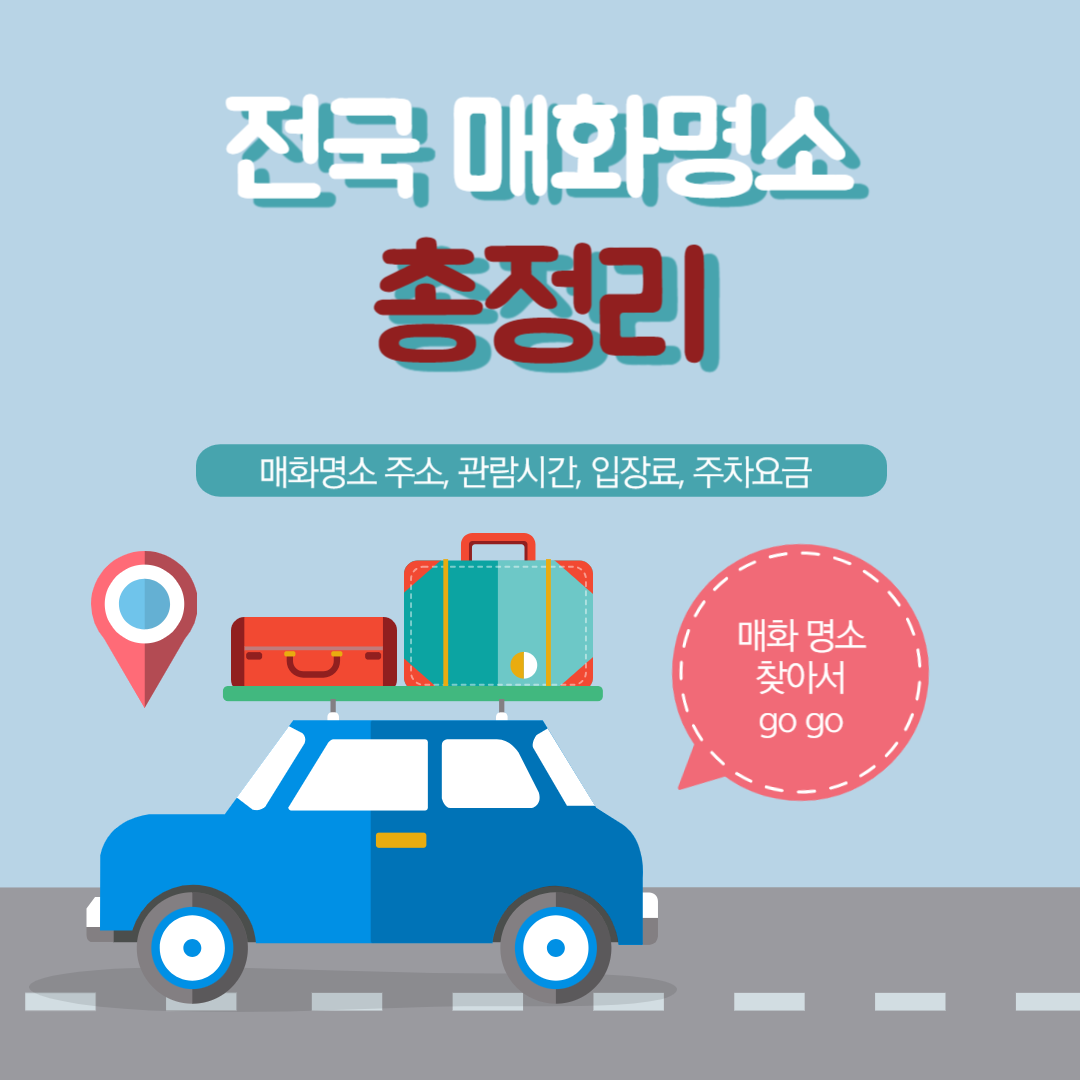 전국 매화 명소 총정리