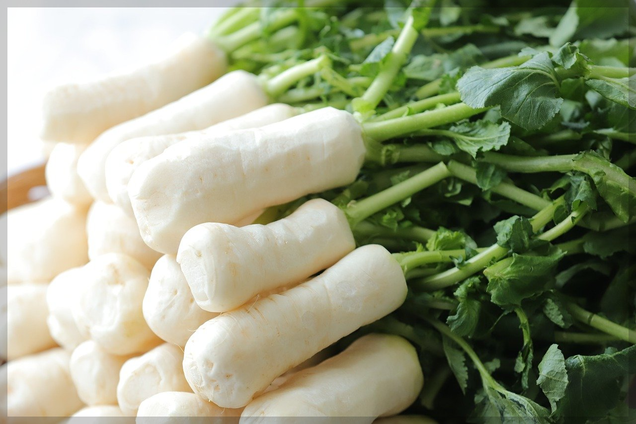 절임배추kg당포기수