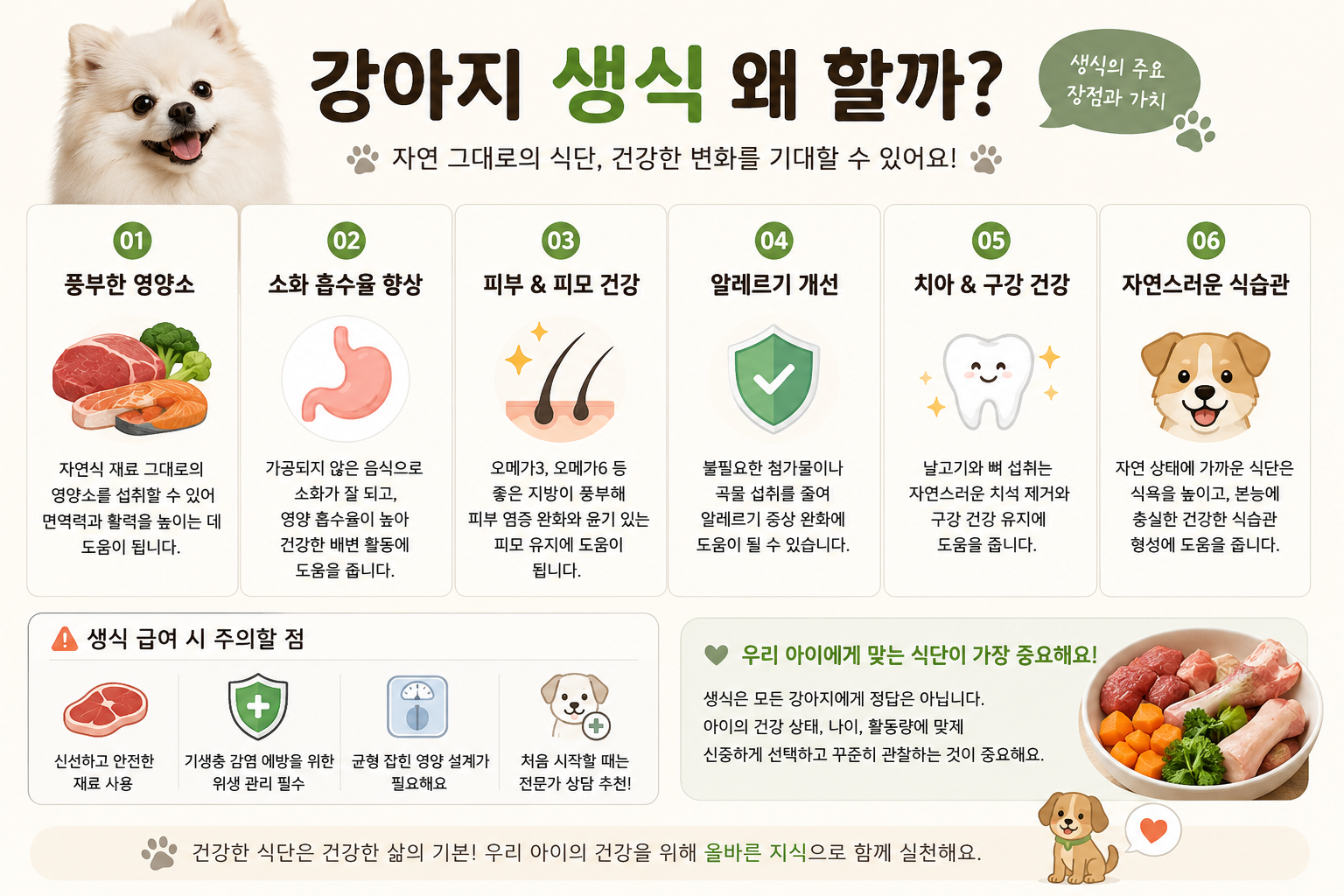 강아지 생식