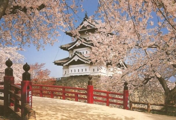 아오모리 벚꽃명소