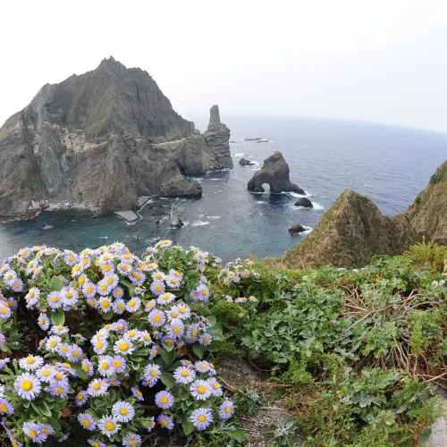 강릉 울릉도 배편