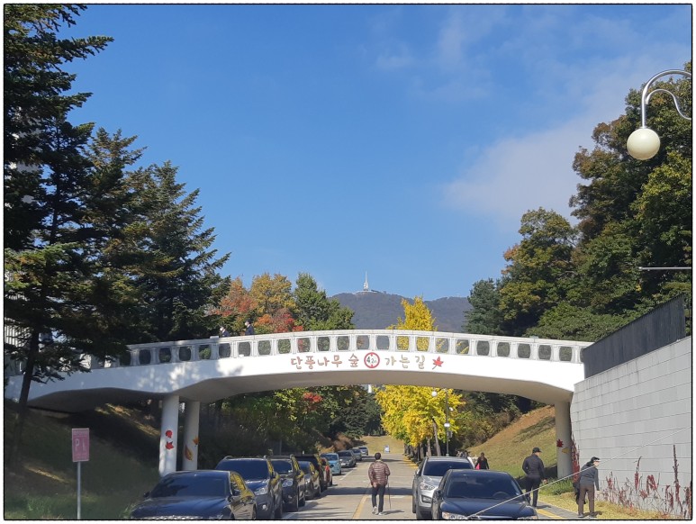 단풍명소