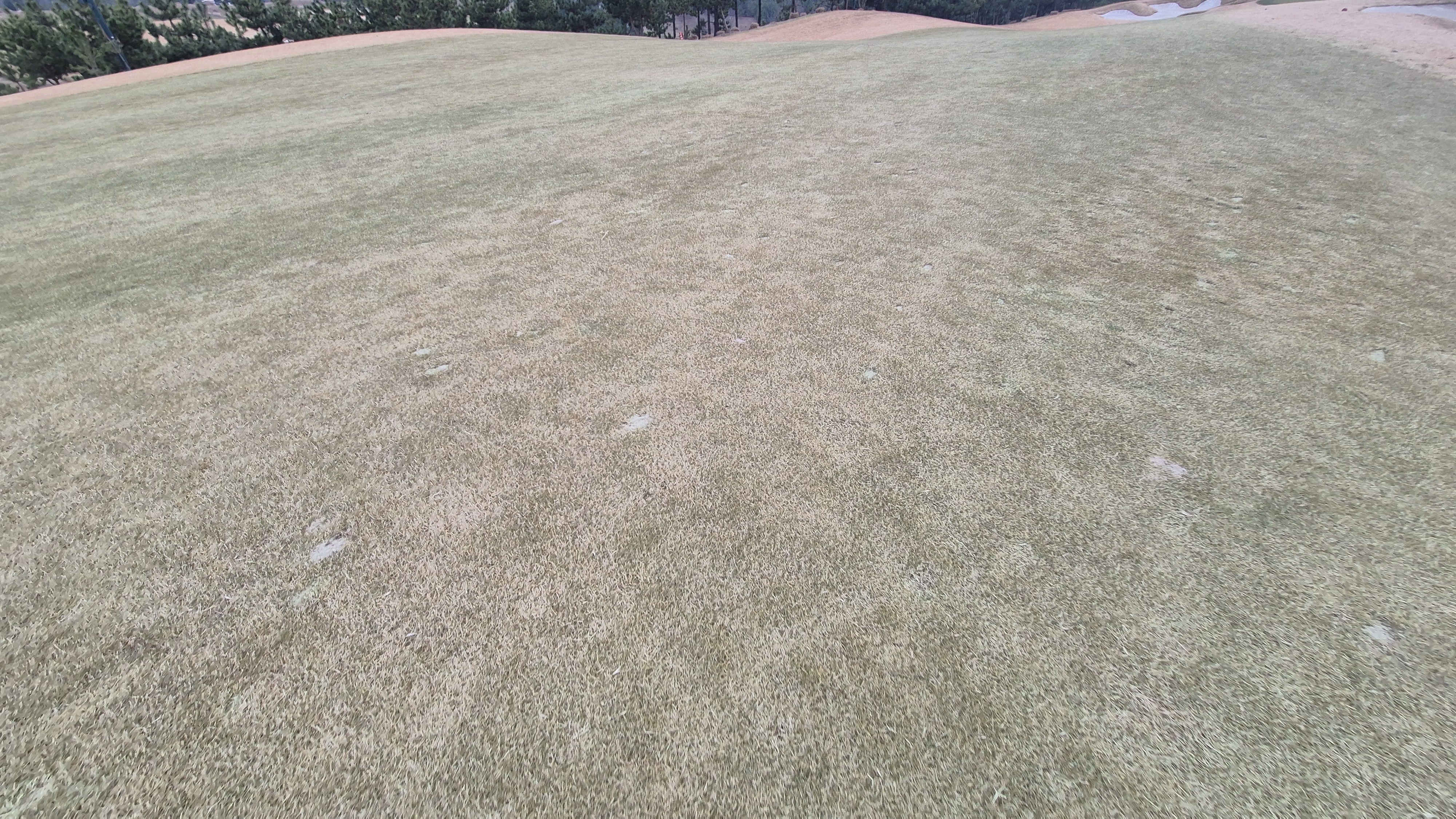 더헤븐cc 사우스-웨스트 코스 난이도