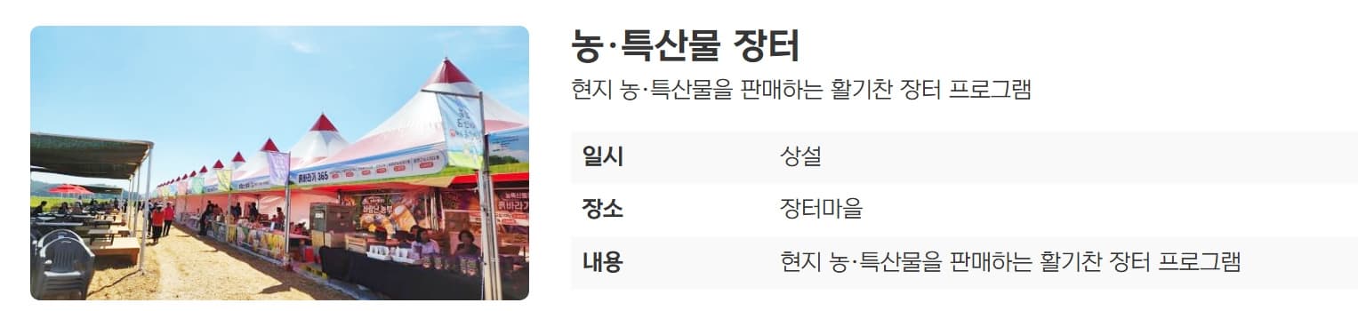 [5월 축제]2025 진봉 새만금 보리밭축제❘기간, 일정, 체험 프로그램, 공연 총정리