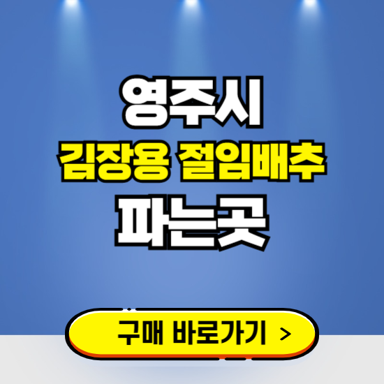 영주시 절임배추 사전예약 구입하는곳 ❘ 김장배추 파는곳 가격보기