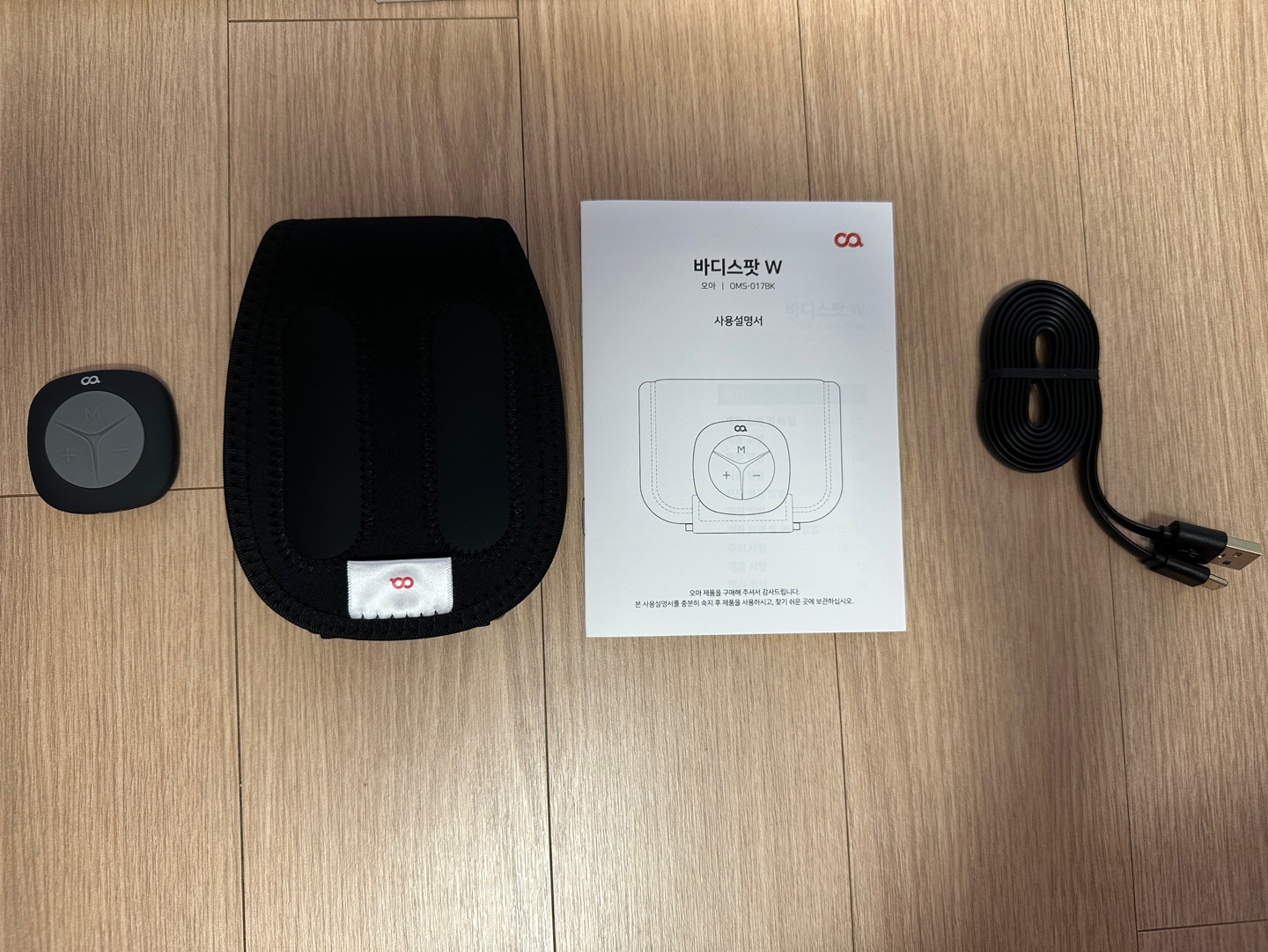 오아 바디스팟W 저주파 마사지기