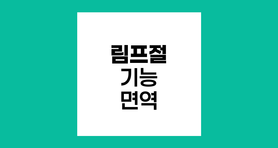 림프절의 기능과 면역체계 역할