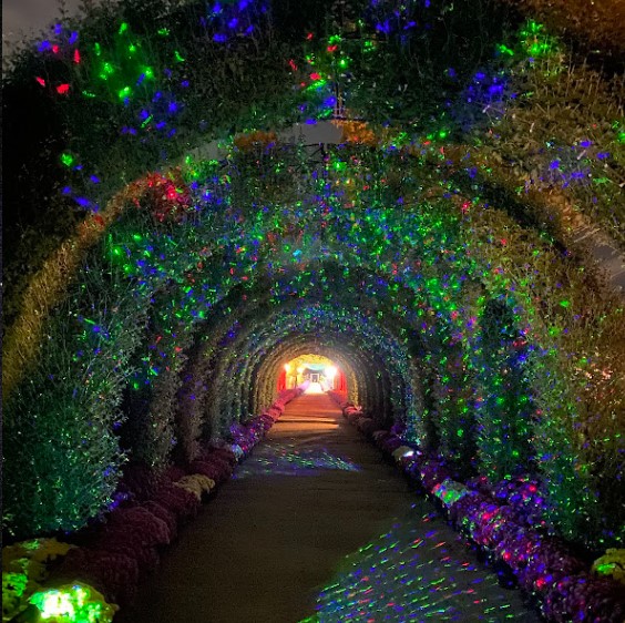 피나클랜드 불꽃놀이