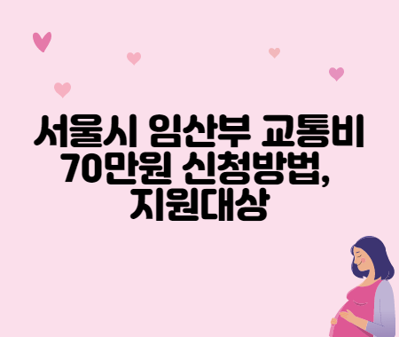 서울시 임산부 교통비 70만원 신청방법, 지원대상