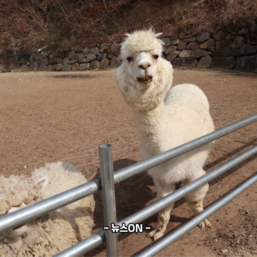 강원도 가볼만한곳