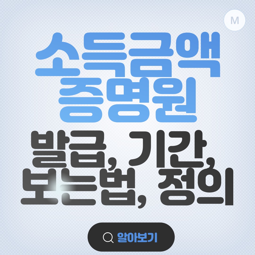 소득금액증명원 발급, 기간, 보는법, 정의
