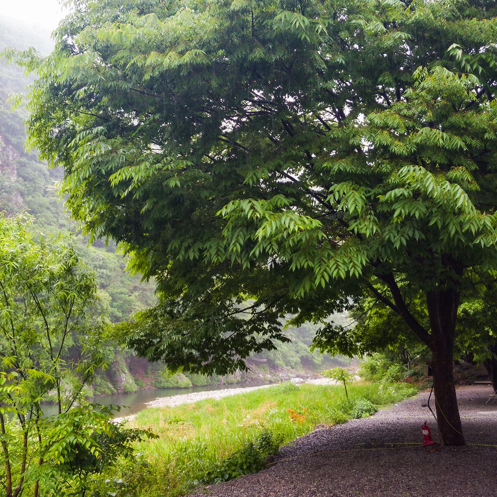 가평군 구름계곡캠핑장 소개