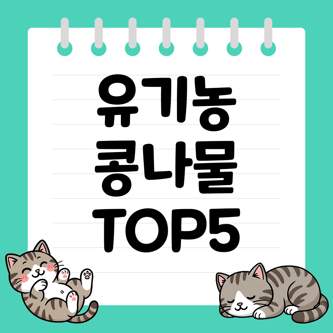 아이들도 안전한 유기농 콩나물 추천 순위 TOP5