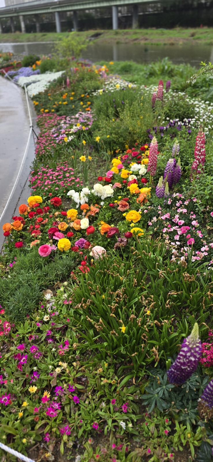 튜울맆 직접 찍은 사진