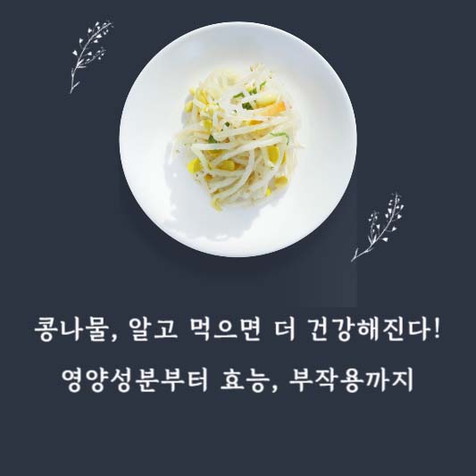 콩나물, 알고 먹으면 더 건강해진다! 영양성분부터 효능, 부작용까지