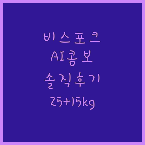 삼성 비스포크 AI콤보 세탁건조기 W..