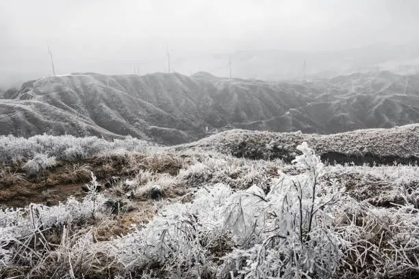1월 일본의 기후 및 날씨 특징