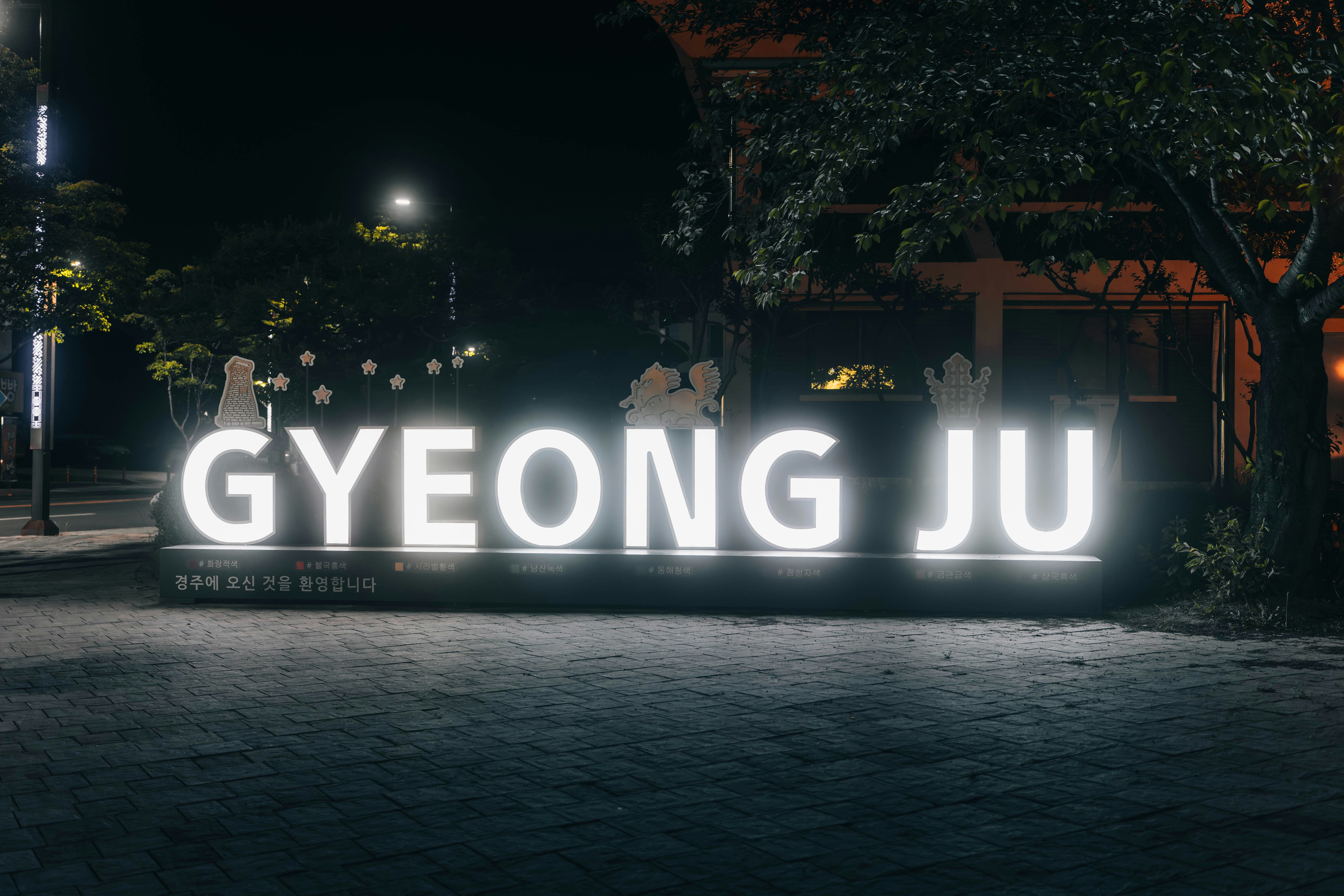 2026 경주 벚꽃 명소 베스트 10 총정리