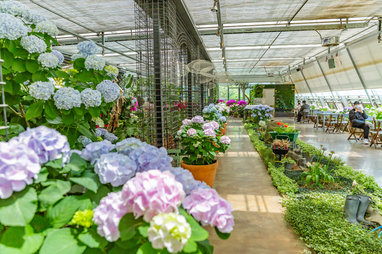 제주도 가볼만한 곳