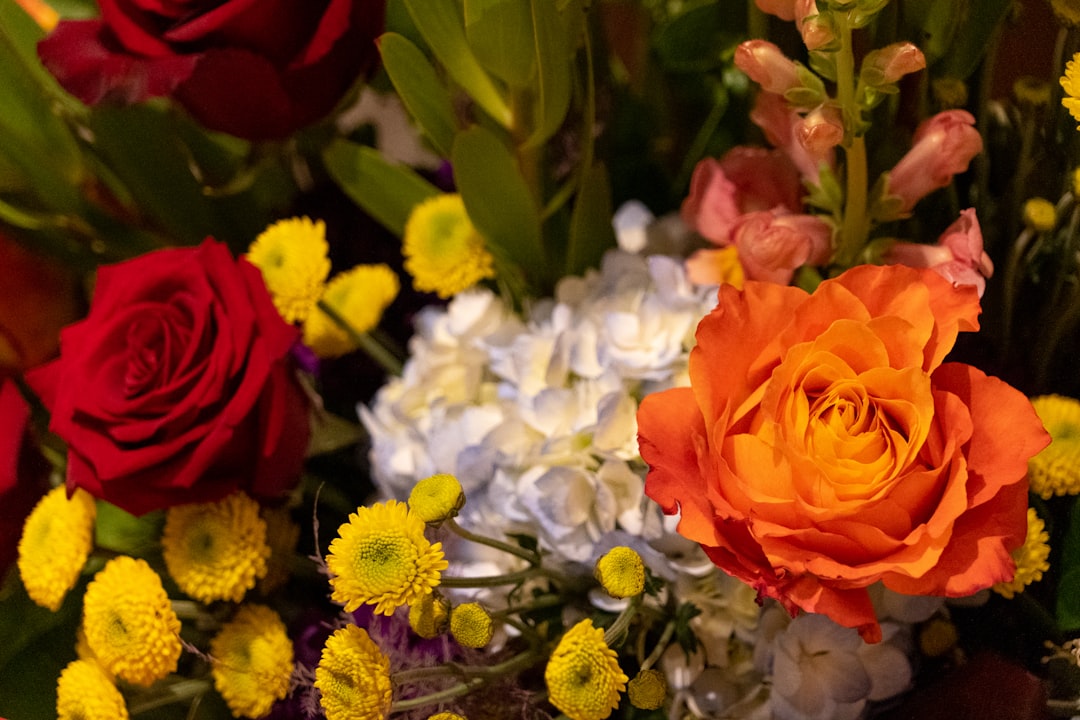 Arrangement.