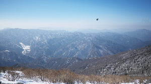 해돋이