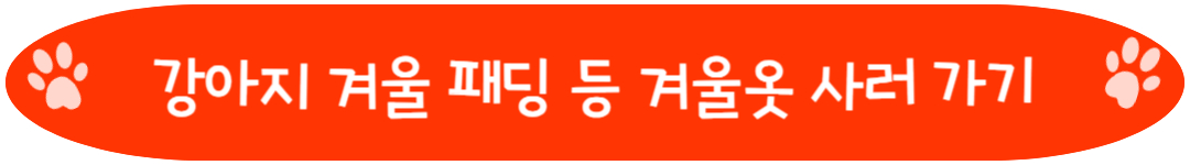 강아지 패딩, 강아지 겨울 옷