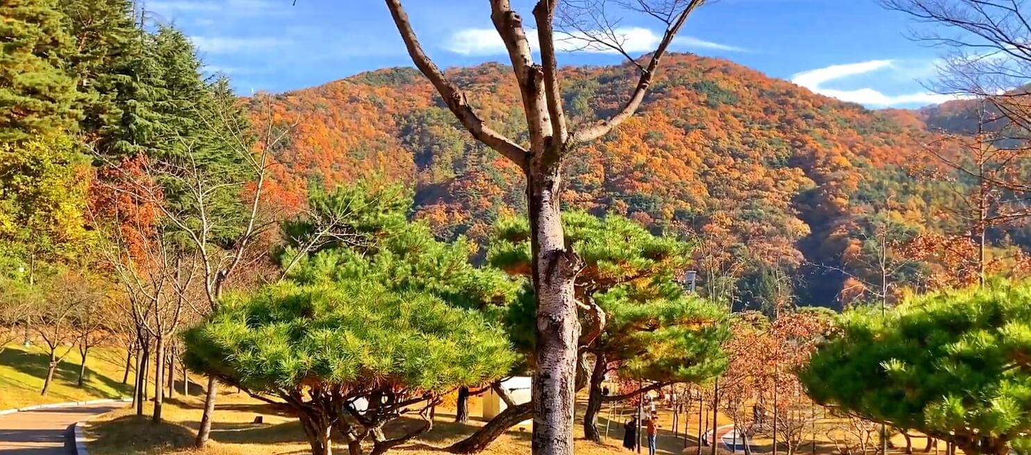 직지문화공원