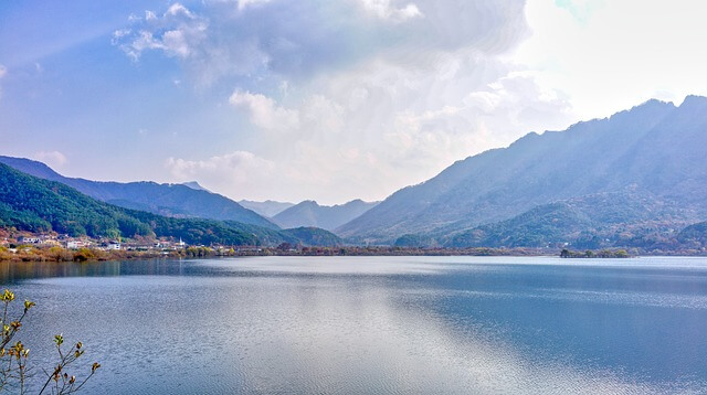 장수풍뎅이 키우기