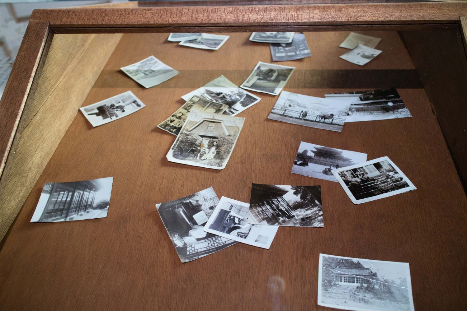 예술의 시간 전시회 산 자와 죽은 자 가운데