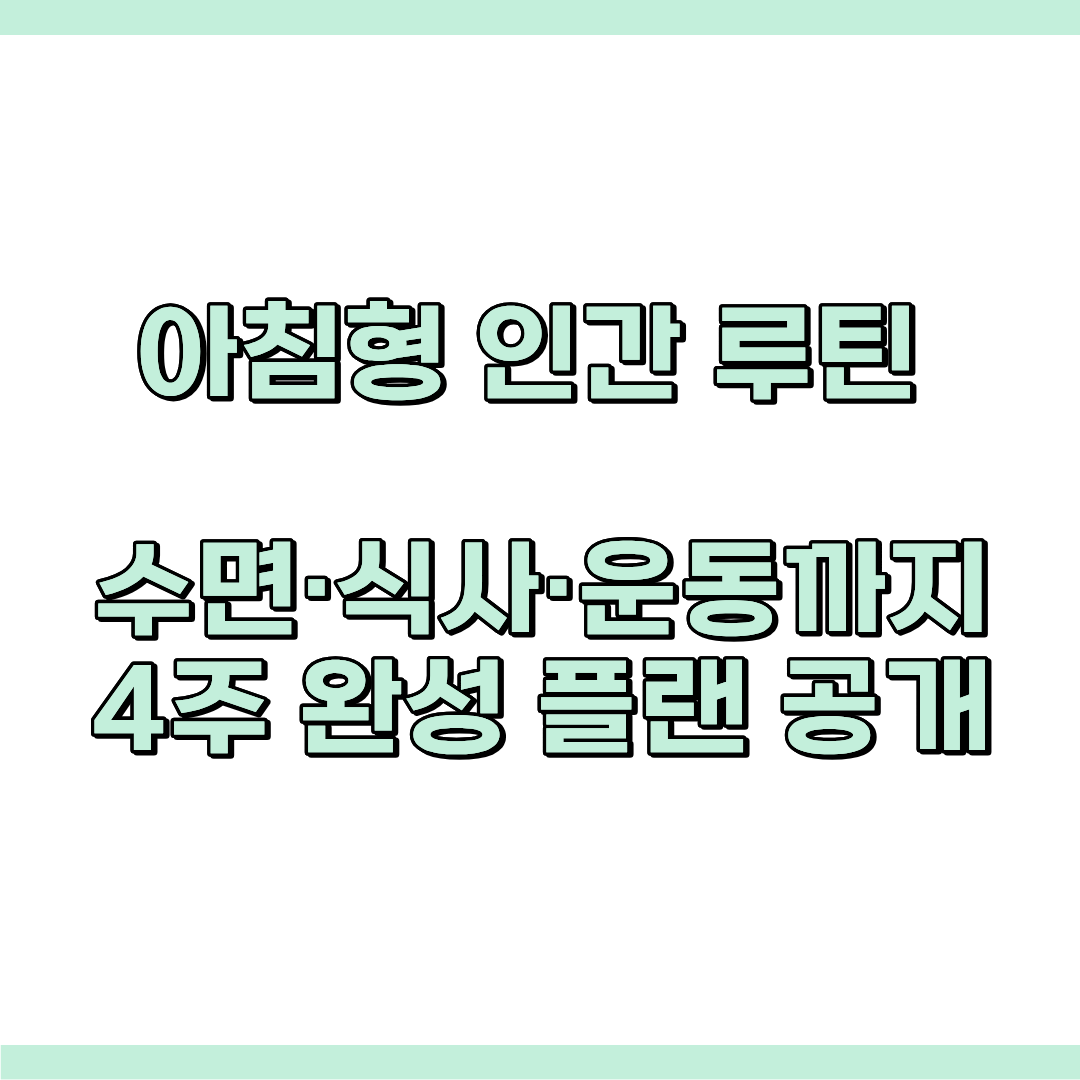 아침형 인간