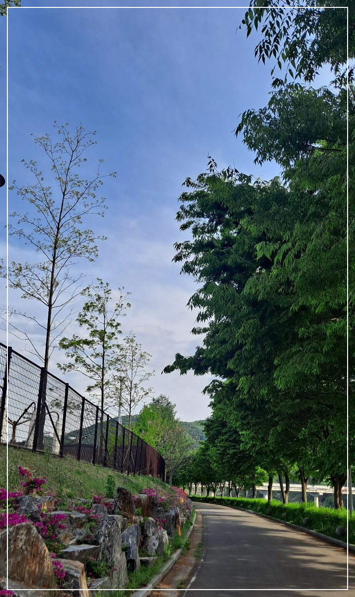 산책로