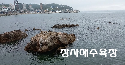 영덕 장사해수욕장 