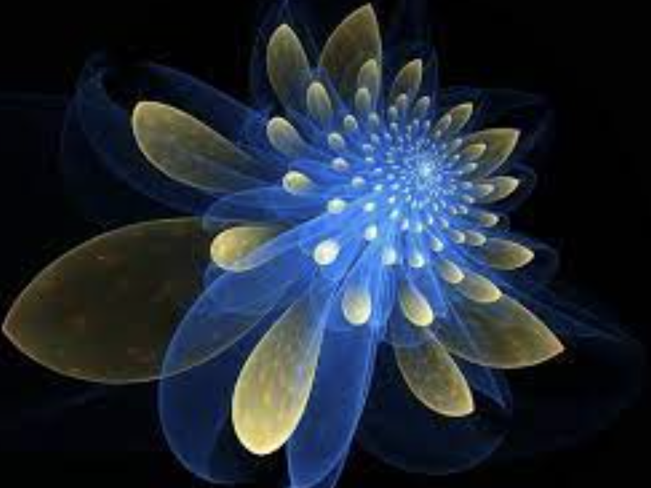 프랙탈 아트의 세계