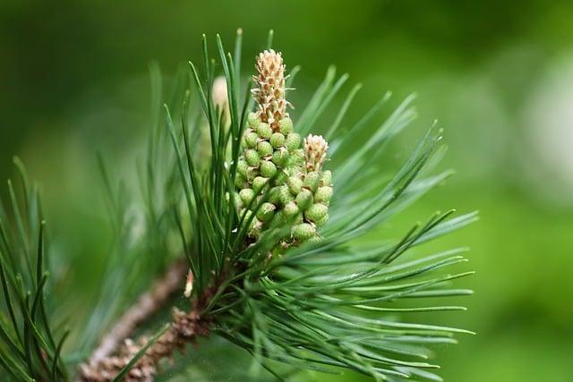 신세계 롯데 현대 백화점 고객등급