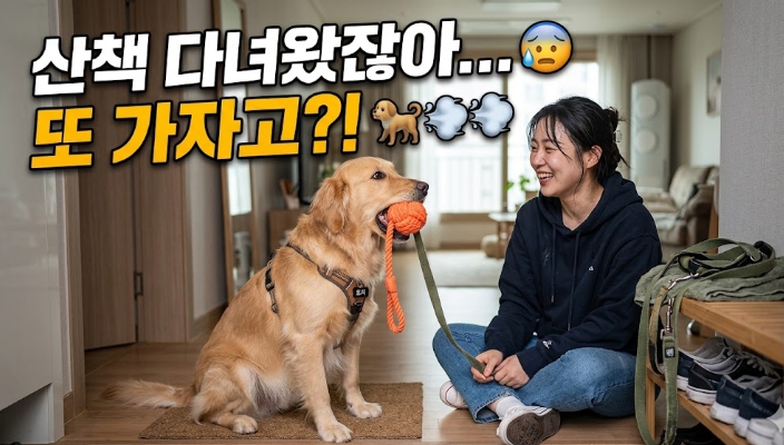 반려견 산책 후 행동에 대한 이미지