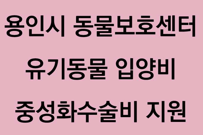 용인시 동물보호센터