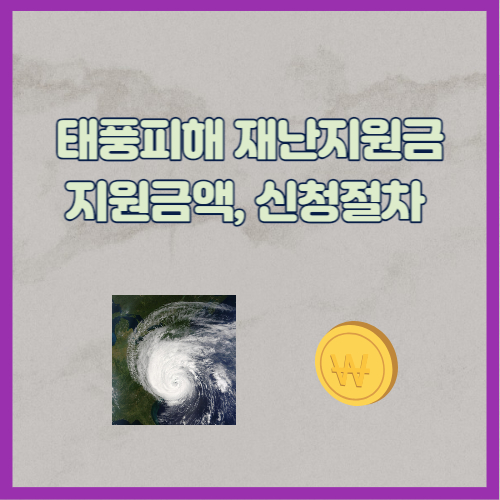 태풍피해 재난지원금
