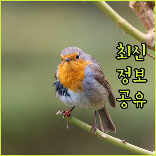 넷플릭스부터 디즈니까지! 겜스고로 반..