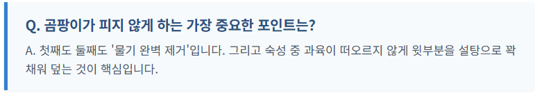 매실 장아찌 아삭하게담는법