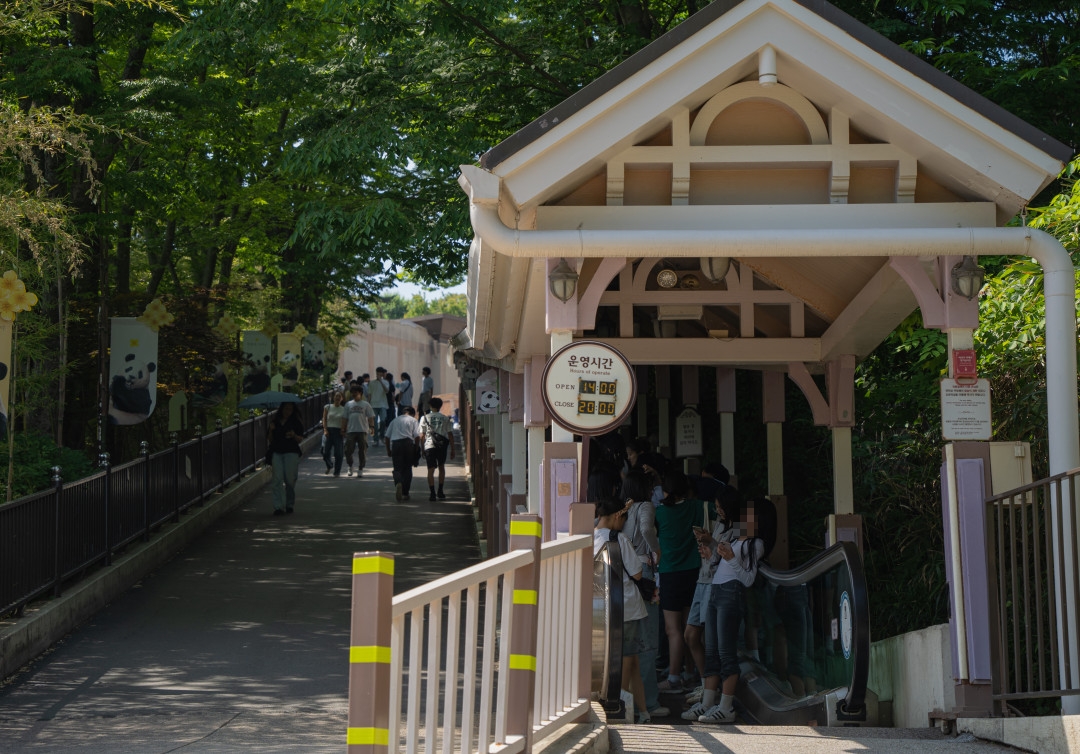 에버랜드 판다월드 가는길