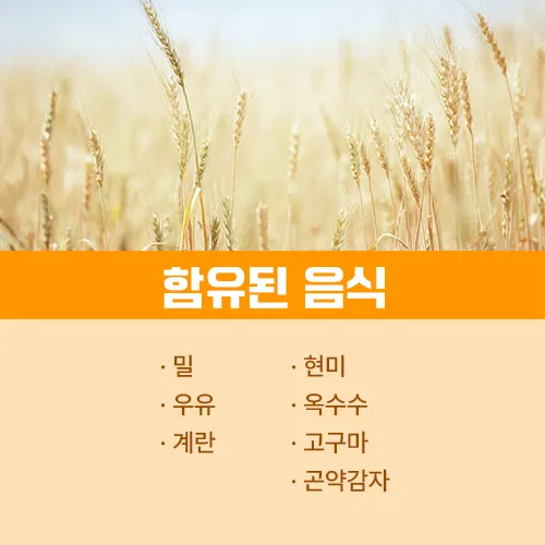 세라티크 음식