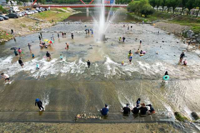평창더위사냥축제