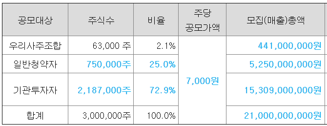 아이언디바이스 공모주