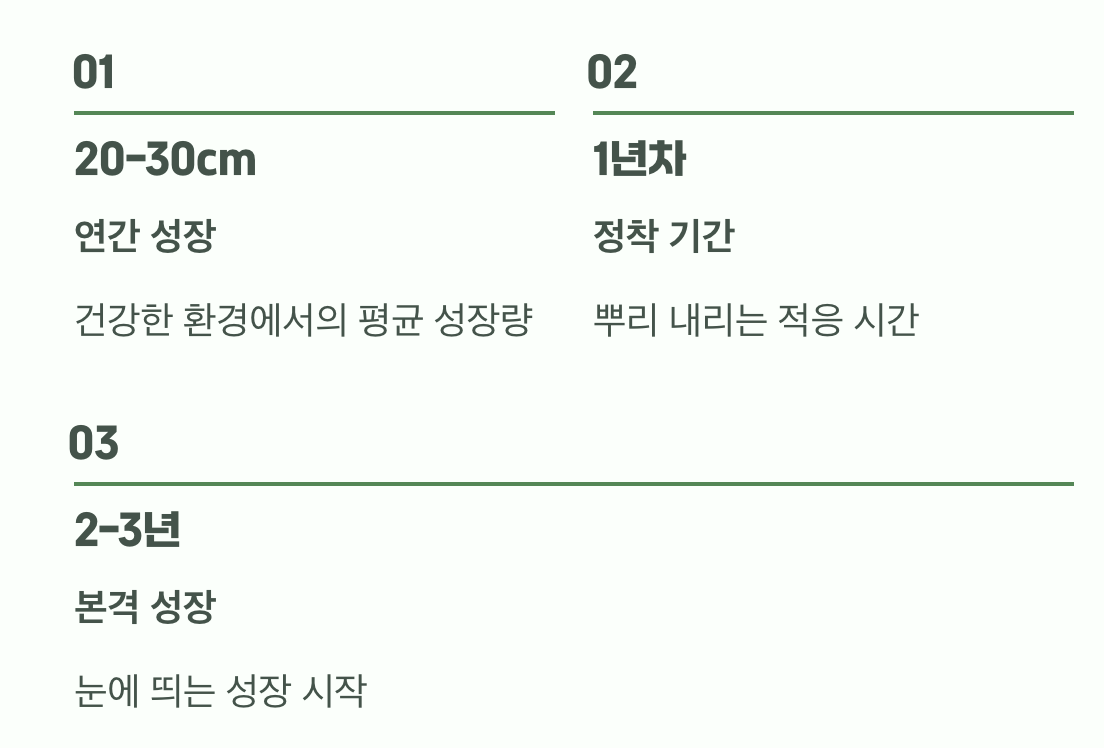 평균 성적표&amp;#44; 1년 성장 속도