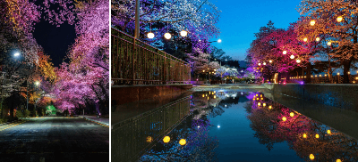 렛츠런파크 무료입장권