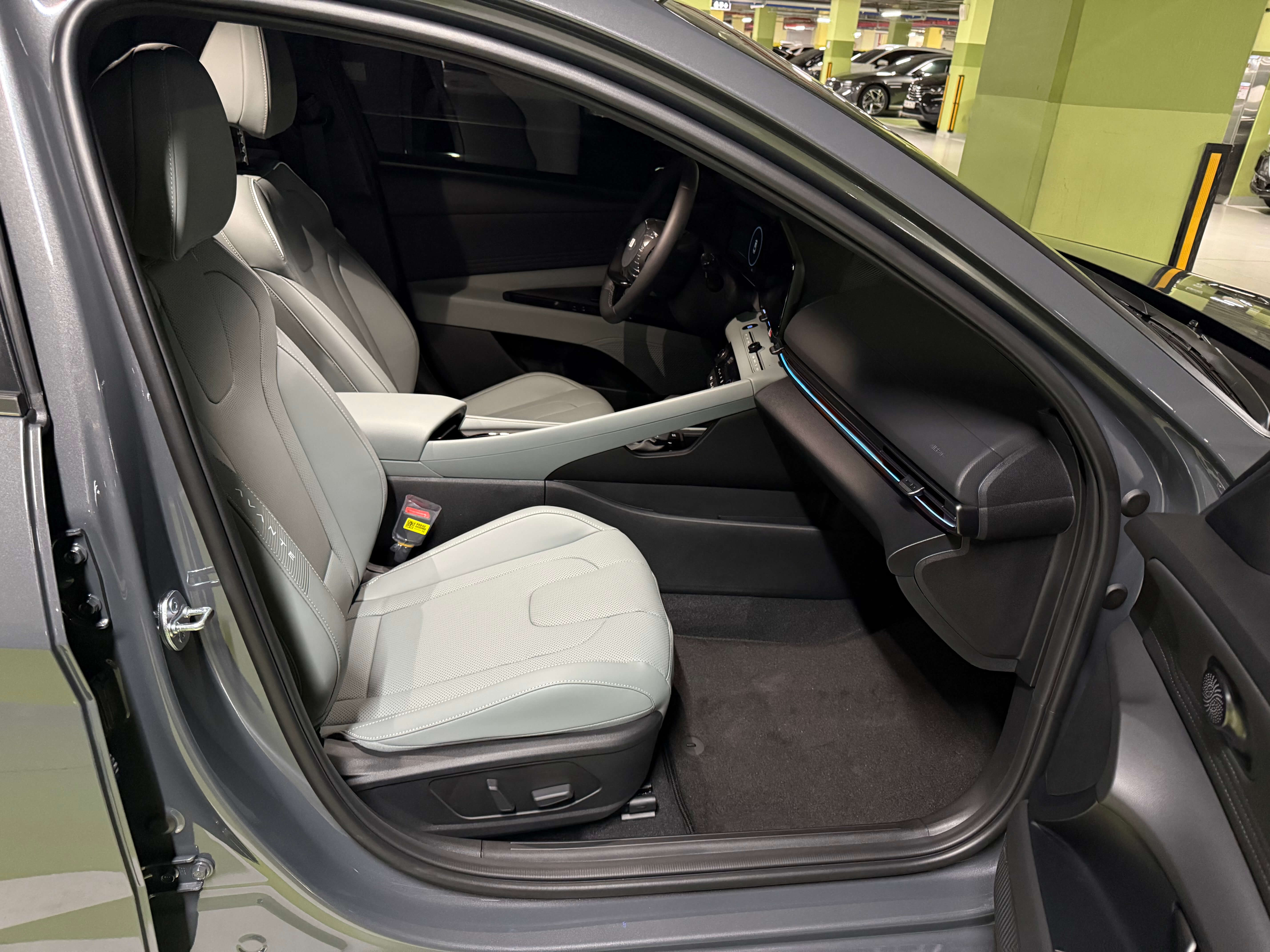 세이지 그린시트